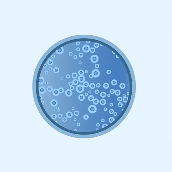 Understanding Cryptococcus Neoformans : Features, Causes and Treatment